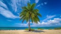 Coconut palm trees against blue sky and beautiful beach Royalty Free Stock Photo