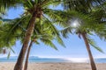 Coconut palm trees against blue sky and beautiful beach in Pattaya Thailand Royalty Free Stock Photo