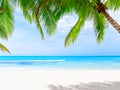 Coconut palm trees against blue sky and beautiful beach in Punta Cana, Dominican Republic Royalty Free Stock Photo