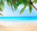 Coconut palm trees against blue sky and beautiful beach in Punta Cana, Dominican Republic Royalty Free Stock Photo