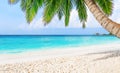 Coconut palm trees against blue sky and beautiful beach Royalty Free Stock Photo