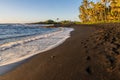 Coconut Palm Trees Along The Black Sand of Punalu\'u Beach Royalty Free Stock Photo