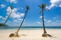 Coconut palm trees at the  Bai Sao beach Royalty Free Stock Photo