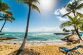 Coconut palm trees in Bas du Fort beach in Guadeloupe Royalty Free Stock Photo