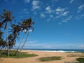 coconut palm trees on the beach, blue sky background, Poovar beach, Thiruvananthapuram Kerala,  seascape view Royalty Free Stock Photo
