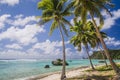 Coconut palm trees at the beach Royalty Free Stock Photo