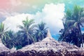 Coconut palm trees on blue sky background Royalty Free Stock Photo