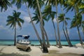 Coconut palm trees and boat on Maafushi Island Maldives Royalty Free Stock Photo