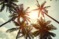 Coconut palm trees on cloudy sky background. Low Angle View. Toned image Royalty Free Stock Photo