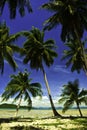 Coconut palm beach in Thailand