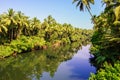 Coconut palm trees growing along the small river, India