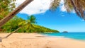 Coconut palm trees leaning over La Perle beach in Guadeloupe