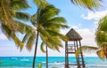 Coconut palm trees and a lifeguard tower on a Caribbean beach, Mexico Royalty Free Stock Photo