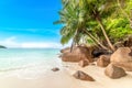 Coconut palm trees nad granite rocks by the sea Royalty Free Stock Photo