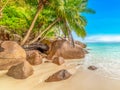 Coconut palm trees nad granite rocks by the sea Royalty Free Stock Photo