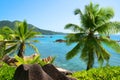 Coconut palm trees near Grand l`Anse beach in La Digue island, Indian Ocean, Seychelles. Royalty Free Stock Photo