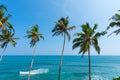 Coconut palm trees over the calm tropical ocean