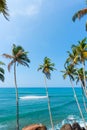 Coconut palm trees over the calm tropical ocean