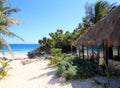 Coconut palm trees palapa hut beach Royalty Free Stock Photo