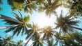 Coconut palm trees perspective view for background. Generative Ai Royalty Free Stock Photo