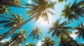 Coconut palm trees perspective view for background. Generative Ai Royalty Free Stock Photo