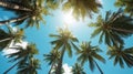 Coconut palm trees perspective view for background. Generative Ai Royalty Free Stock Photo