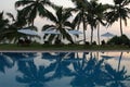 Coconut palm trees reflecting in the water pool Royalty Free Stock Photo