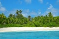 Coconut palm trees on sand beach of the island Grande Soeur, Seychelles.