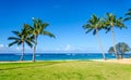 Coconut Palm trees on the sandy Poipu beach in Hawaii Royalty Free Stock Photo