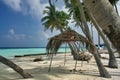 Coconut palm trees and shack and boat on Maafushi Island Maldives Royalty Free Stock Photo