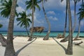 Coconut palm trees and shack on Maafushi Island Maldives Royalty Free Stock Photo