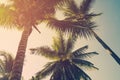Coconut palm trees and shining sun with vintage effect Royalty Free Stock Photo