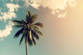 Coconut palm trees and shining sun with vintage effect Royalty Free Stock Photo