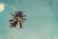 Coconut palm trees and shining sun with vintage effect. Royalty Free Stock Photo