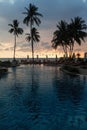 Coconut palm trees silhouettes on a tropical beach Royalty Free Stock Photo