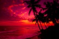 Coconut palm trees silhouettes on tropical ocean coast at sunset with colorful sky Royalty Free Stock Photo