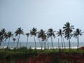 Coconut palm trees and sky, Kerala coastline, Thiruvananthapuram, seascape view Royalty Free Stock Photo