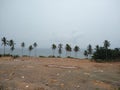 Coconut palm trees and sky, seascape view Royalty Free Stock Photo