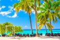 Coconut palm trees with sunloungers on the caribbean tropical beach. Saona Island, Dominican Republic. Vacation travel background