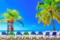 Coconut palm trees with sunloungers on the caribbean tropical beach. Saona Island, Dominican Republic. Vacation travel background Royalty Free Stock Photo