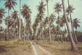 Coconut palm trees in sunny day with blue sky - Tropical summer Royalty Free Stock Photo