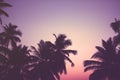 Coconut palm trees at sunrise vintage filter