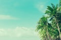 Coconut palm trees tropical background, vintage Royalty Free Stock Photo