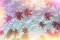 Coconut palm trees on tropical beach vintage toned Royalty Free Stock Photo