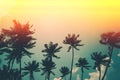 Coconut palm trees on tropical ocean beach, vintage toned and retro color stylized Royalty Free Stock Photo