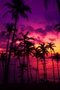 Coconut palm trees on tropical ocean coast at vivid sunset Royalty Free Stock Photo