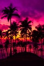 Coconut palm trees on tropical ocean island beach at vivid sunset Royalty Free Stock Photo