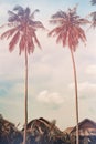 Coconut palm trees at tropical resort bungalow roof Royalty Free Stock Photo