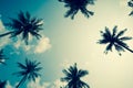 Coconut palm trees - Tropical summer breeze holiday, Retro tone