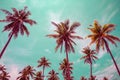 Coconut palm trees - Tropical summer breeze holiday, Vintage ton Royalty Free Stock Photo